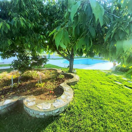 Kaja House Apartments Lozovac Exterior photo
