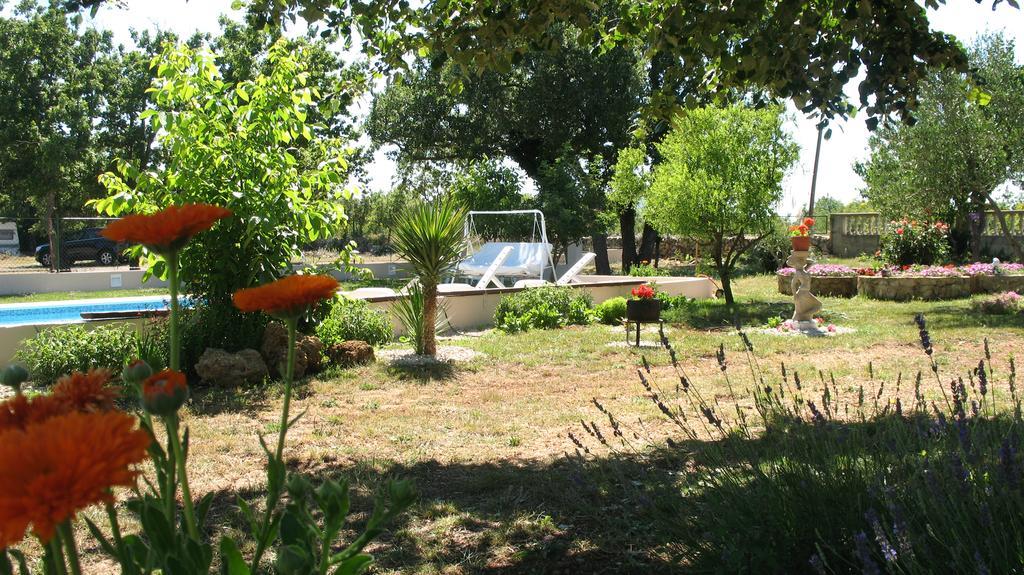 Kaja House Apartments Lozovac Exterior photo