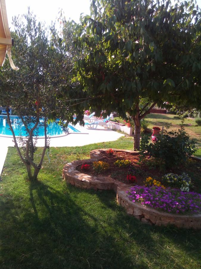 Kaja House Apartments Lozovac Exterior photo
